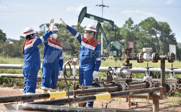 PHR Setor ke Negara Rp80,2 T, Jadi Salah Satu Perusahaan Penyetor Pajak Terbesar