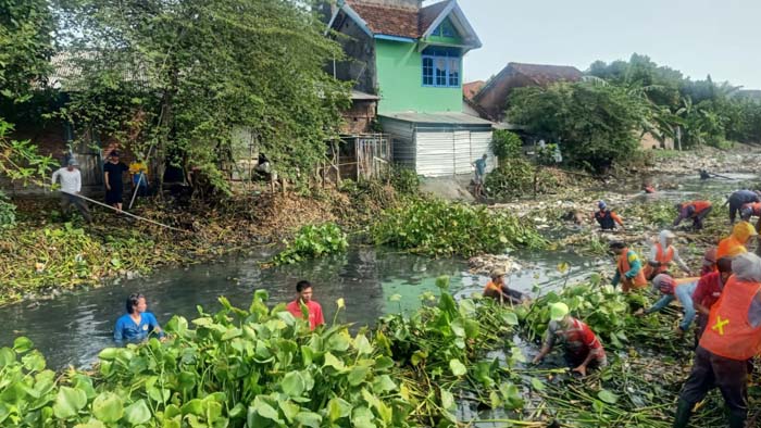 Bersih Sungai Tuntang, Langkah Proaktif Demak dalam Mencegah Banjir
