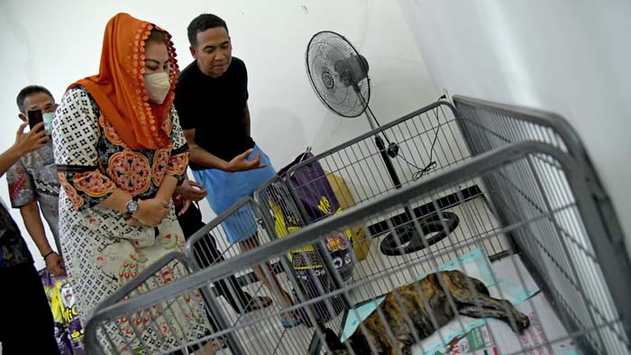 Pemkot Semarang Sigap Tanggapi Penanganan Anjing yang Akan Dijagal