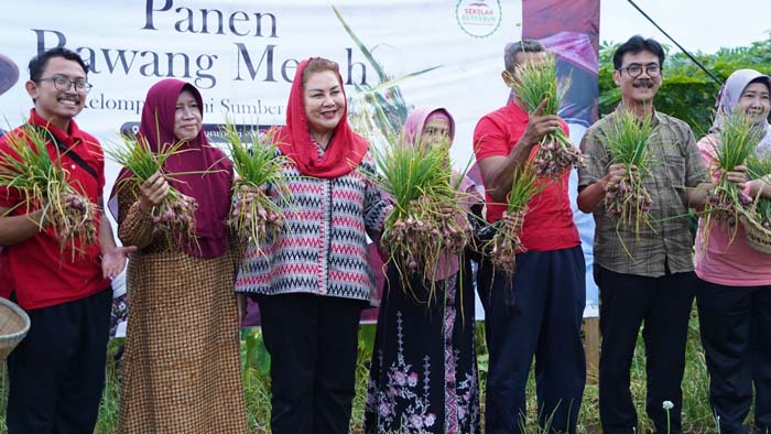 Wali Kota Semarang Dorong Pengembangan Budi Daya Bawang Merah Varietas Bima