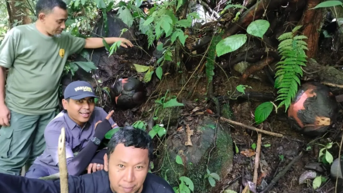 Raflesia Arnoldii Jadi Andalan Wisata Edukatif di Kabupaten Agam