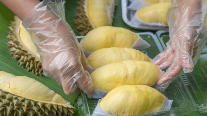 Produksi Durian Indonesia Tembus Rekor dalam Lima Tahun Terakhir, Jawa Timur Terdepan