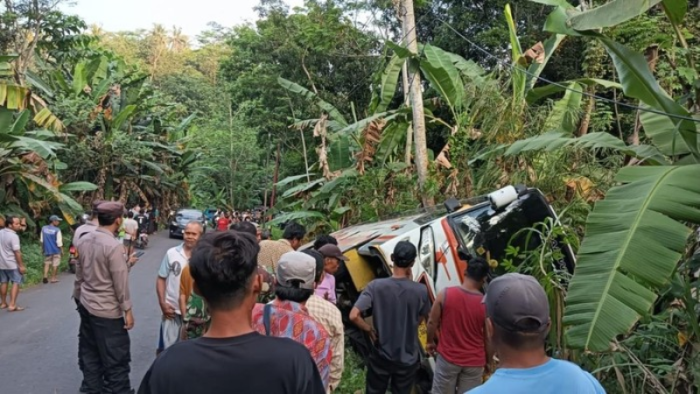 Bus Rombongan Kondangan Mundur Tak Terkendali dan Masuk Parit di Batang, Beberapa Penumpang Luka Ringan