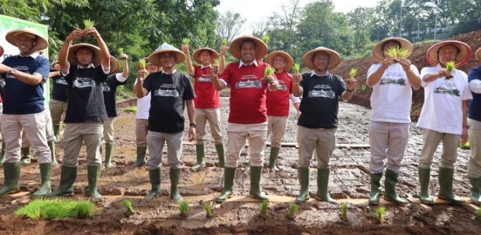 Laboratorium Sawah FPP Undip: Kontribusi untuk Dukung Ketahanan Pangan Berkelanjutan