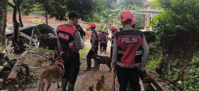 Dibantu Unit K9, Tim Gabungan Terus Berjuang Temukan 13 Warga Hilang Musibah Longsor
