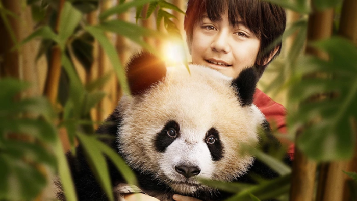 SINOPSIS Moon the Panda: Petualangan Hangat yang Rayakan Persahabatan Manusia dan Alam