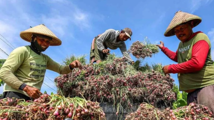 Pengamat Dorong Pemerintah Waspadai Inflasi Pangan Jelang Imlek dan Ramadhan