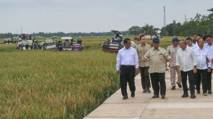 Surplus Beras Nasional Melonjak 243 Persen, Bapanas Tegaskan Swasembada Kian Kuat