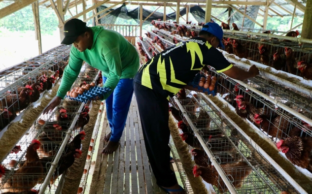 Kaliwedi Sragen Dari Desa Tertinggal Kini Jadi Desa Mandiri