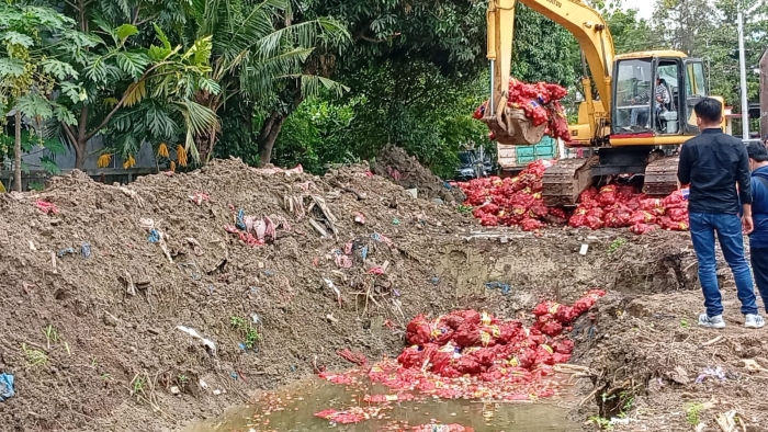 Masuk Semarang Tanpa Dokumen Kesehatan, 120 Ton Bawang Bombay Ilegal Dimusnahkan Polisi
