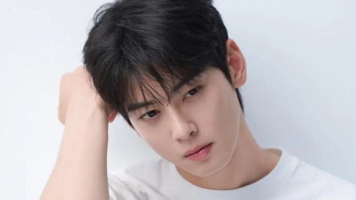 Fantagio Buka Suara soal Dugaan Penggelapan Pajak Cha Eun Woo, Minta Publik Hentikan Spekulasi