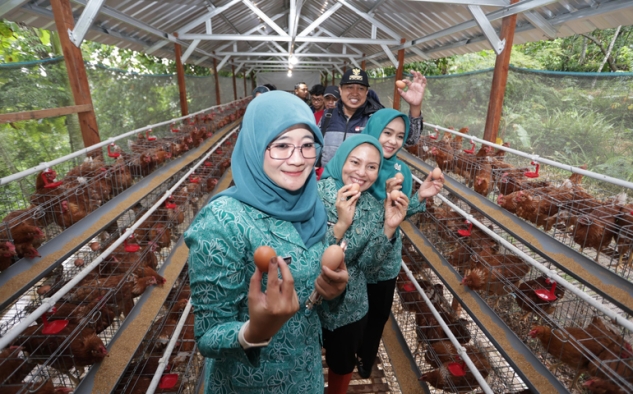 Tinjau Peternakan Ayam di Kudus, Nawal Yasin Dukung Program Penguatan Ketahanan Pangan
