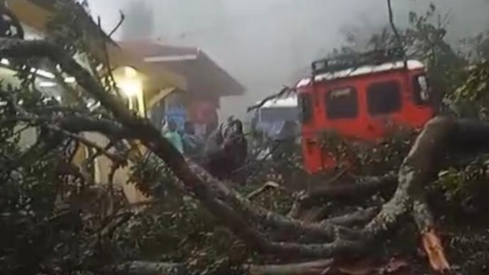 Longsor Terjang Kawasan Bromo, Tujuh Motor Tertimbun dan Akses Wisata Terganggu