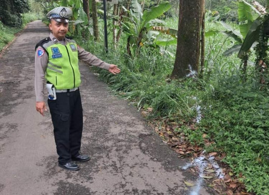 Seorang Anak di Getasan Semarang Meninggal usai Kendarai Motor Tanpa Lampu hingga Tabrak Pohon
