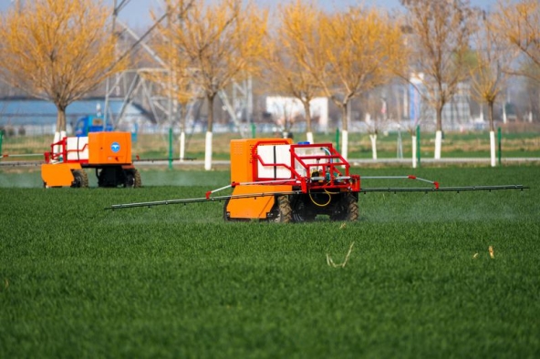 Mahasiswa Indonesia di China Soroti Kebijakan Teknologi dan Revitalisasi Desa dalam “Dua Sesi”