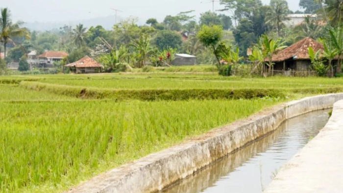 Pemerintah Percepat Irigasi Antisipasi Kekeringan, Perkuat Produktivitas Pertanian di Jawa Tengah