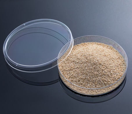 Persib Bandung Tak Boleh Lengah, Julio Cesar Sebut Semua Laga Seperti Final