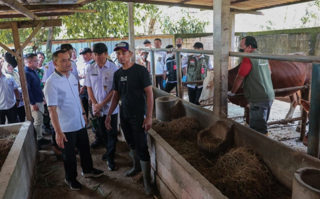 Gubernur Jateng Tinjau Layanan Kesehatan Hewan Keliling Jelang Iduladha