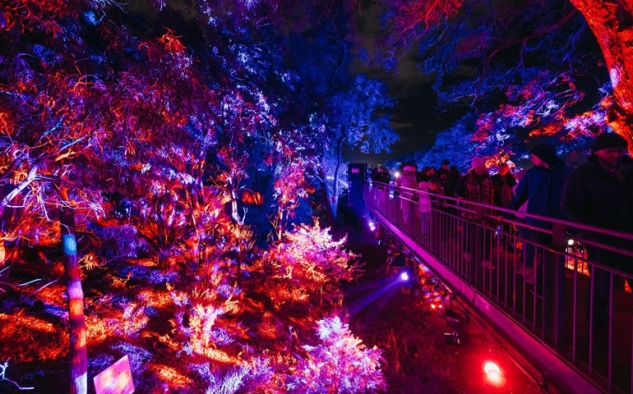 Lightscape 2026 Hadir di Perth, Tampilkan Instalasi Cahaya Imersif di Kings Park