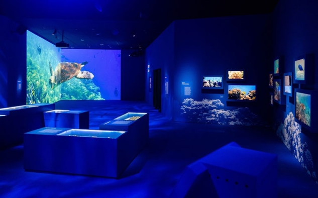 ArtScience Museum dan Oceanx Mengajak Pengunjung Jelajahi Dunia Bawah Laut yang Jarang Terlihat Manusia