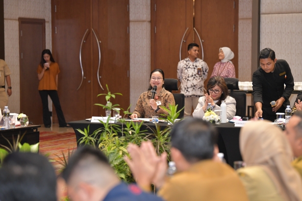 Wali Kota Semarang Agustina Usulkan Pembagian Kewenangan Jelas dalam RUU Kawasan Industri