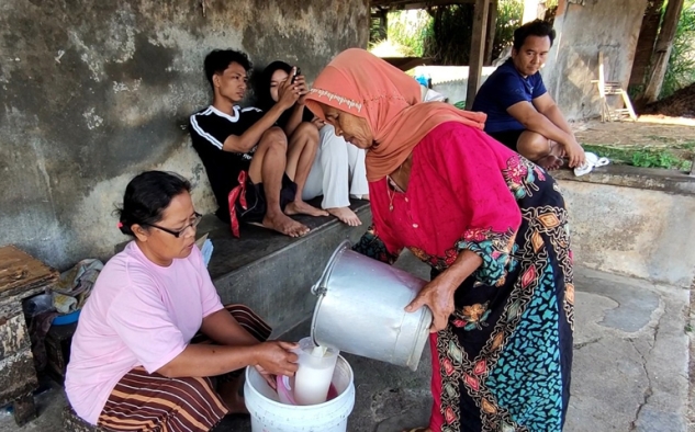 Hadapi Kemarau, Pemprov Jateng Dorong Peternak Sapi Perah Terapkan Teknik Silase