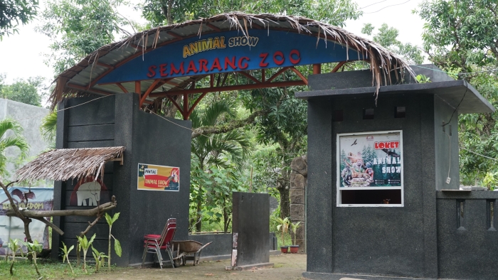 Penanganan Kematian Harimau Putih Koleksi Semarang Zoo Telah Dilaksanakan Sesuai Prosedur