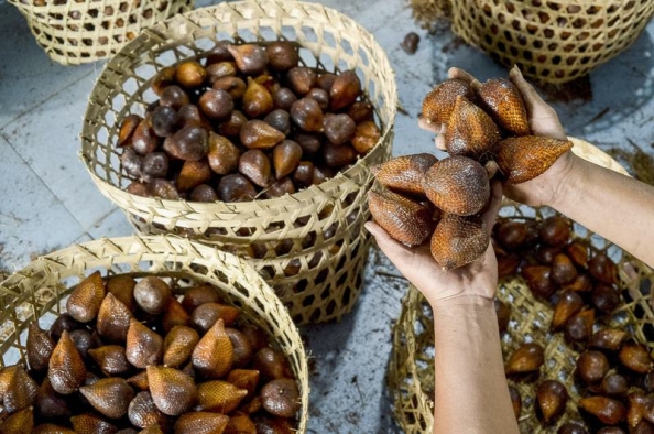 Ekspor Salak dan Durian Indonesia ke China Melonjak pada Semester I 2026