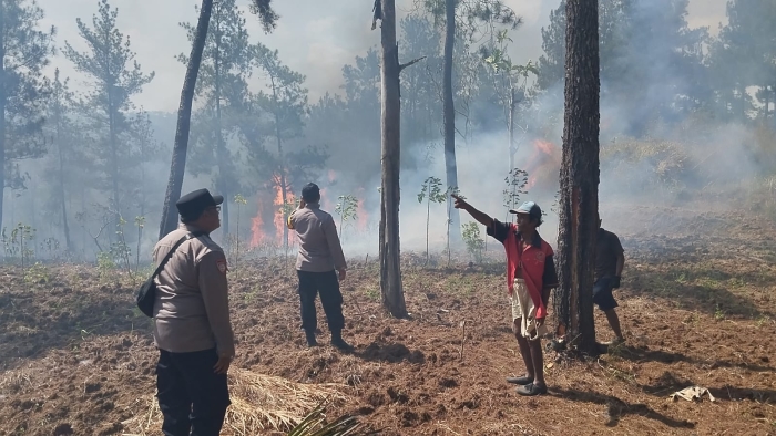Petugas-Warga di Banyumas Bersama-sama Padamkan Api di Hutan Jampes Cilongok