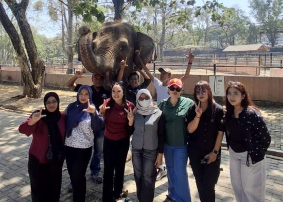 Peringati Hari Gajah Sedunia, Semarang Zoo Ajak Masyarakat Sampaikan Pesan Konservasi