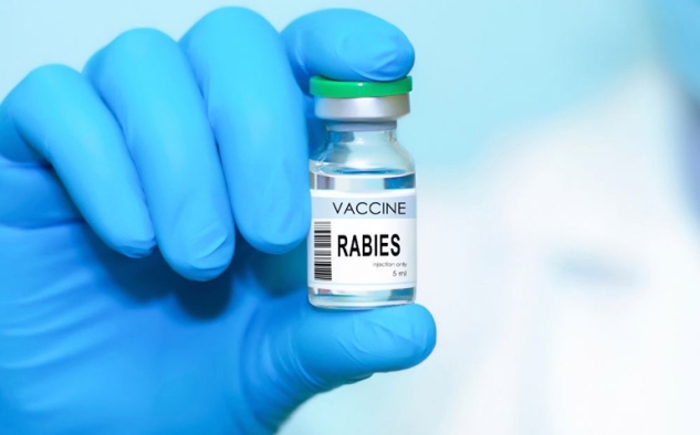 Jateng Distribusikan 10.000 Dosis Vaksin Rabies ke 35 Kabupaten dan Kota