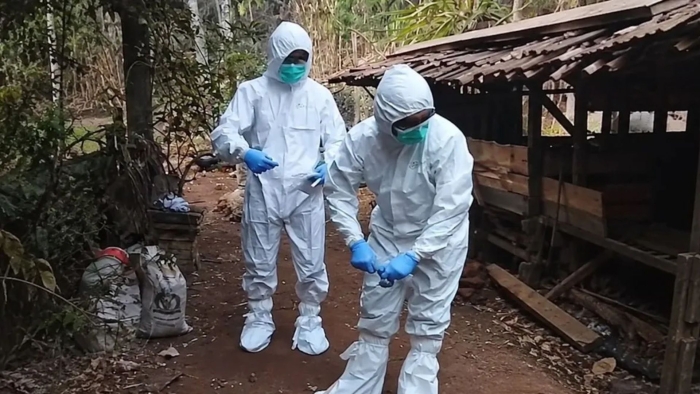 Kementan Perkuat Pengendalian Antraks di Gunungkidul, Vaksinasi Ternak Digencarkan